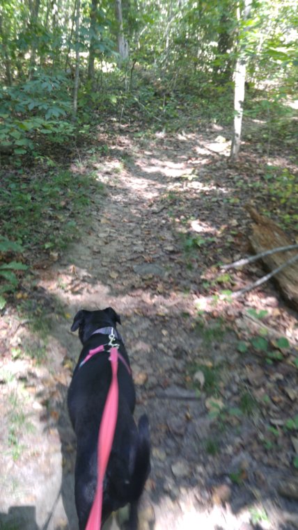 Hiking. April likes to lead.