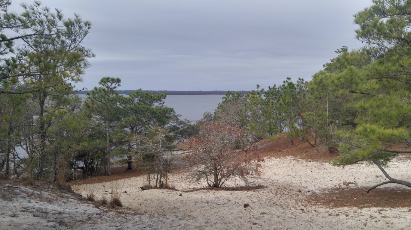 The view from Sugarloaf Dune