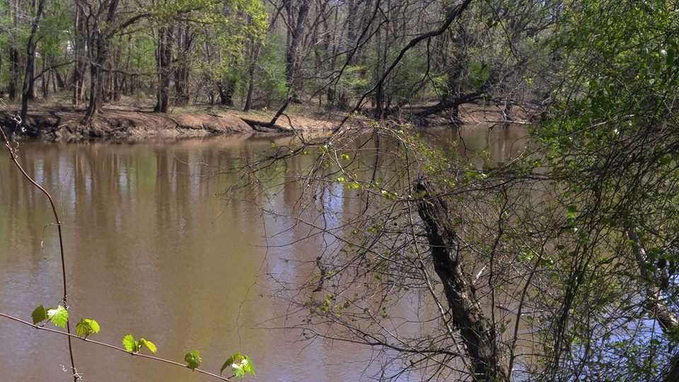 Our view of the Neuse River